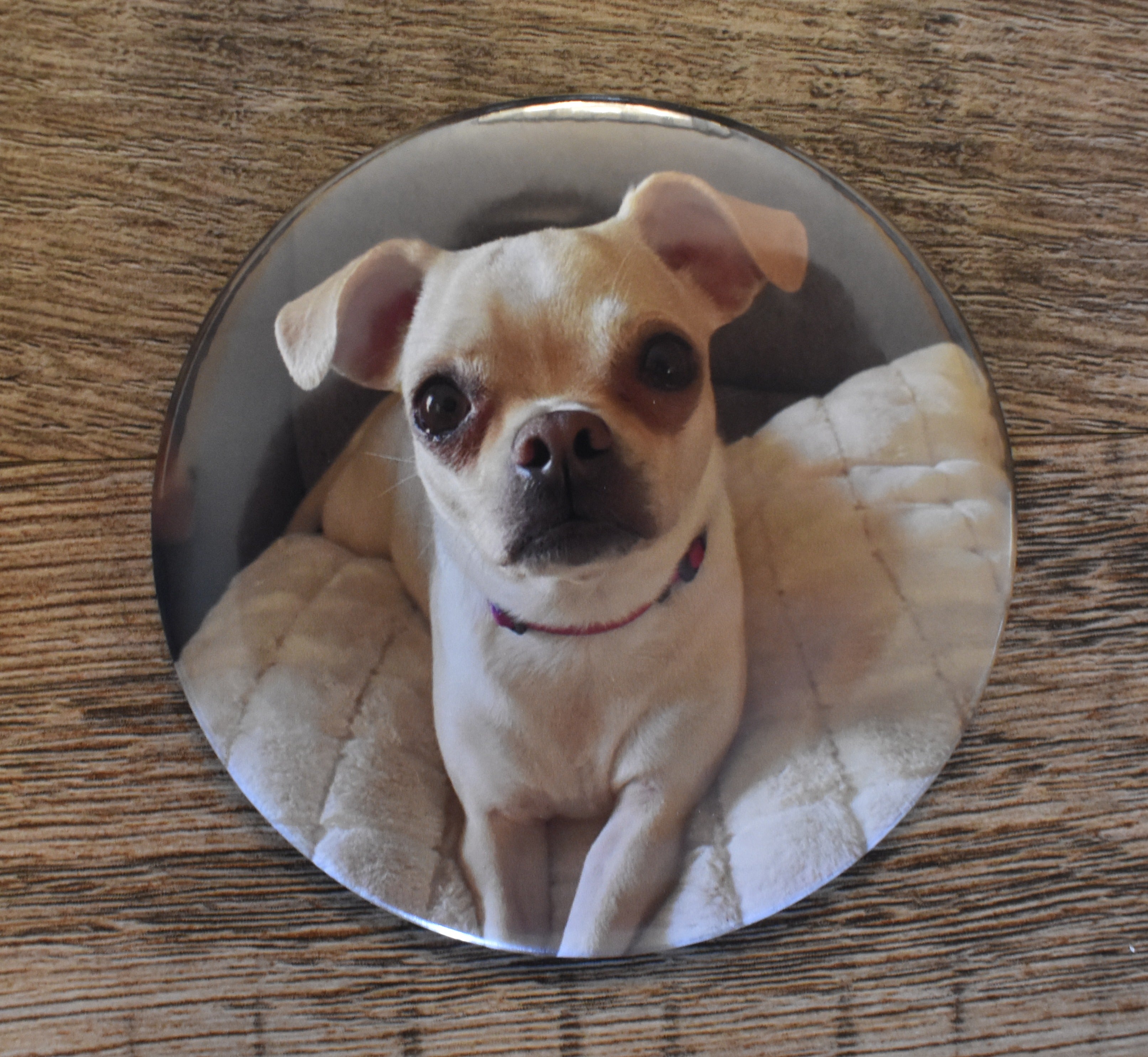 3 Inch Round Custom Made Photo Magnet-Set of 2