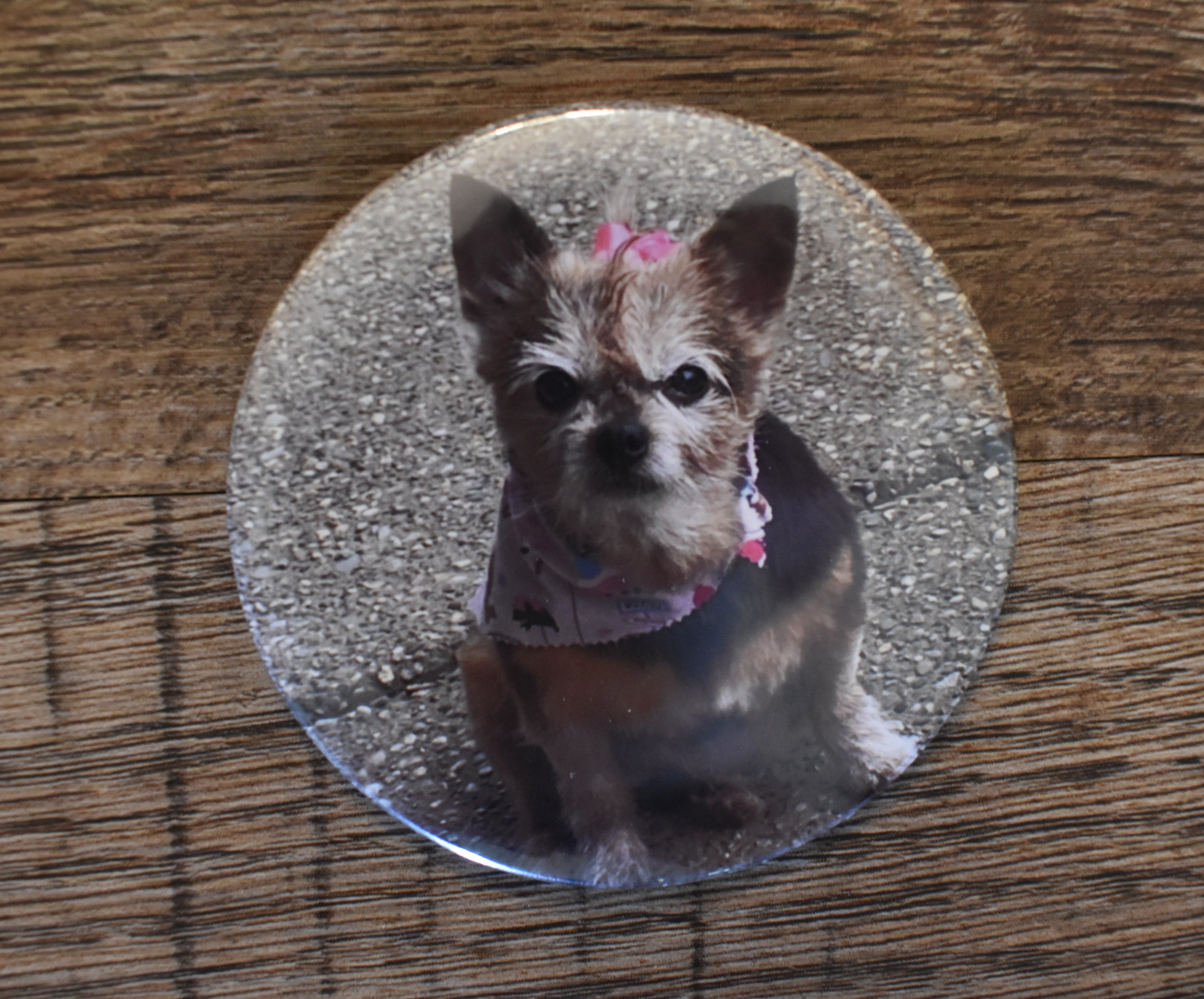 3 Inch Round Custom Made Photo Magnet-Set of 2