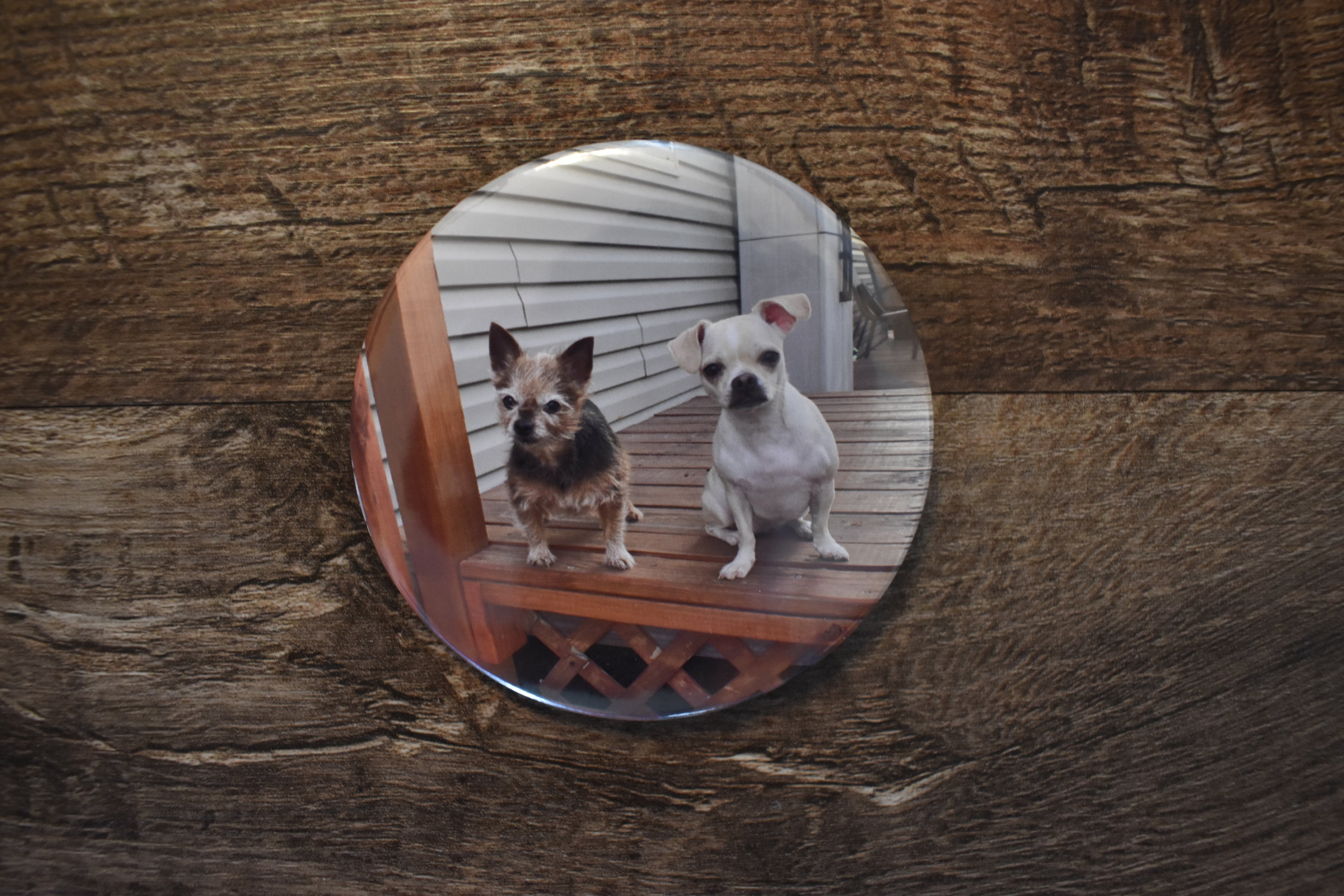 3 Inch Round Custom Made Photo Button-Set of 2