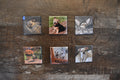 2x2 Square Custom Made Photo Magnet-Set of 6