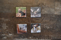 2x2 Square Custom Made Photo Magnet-Set of 4