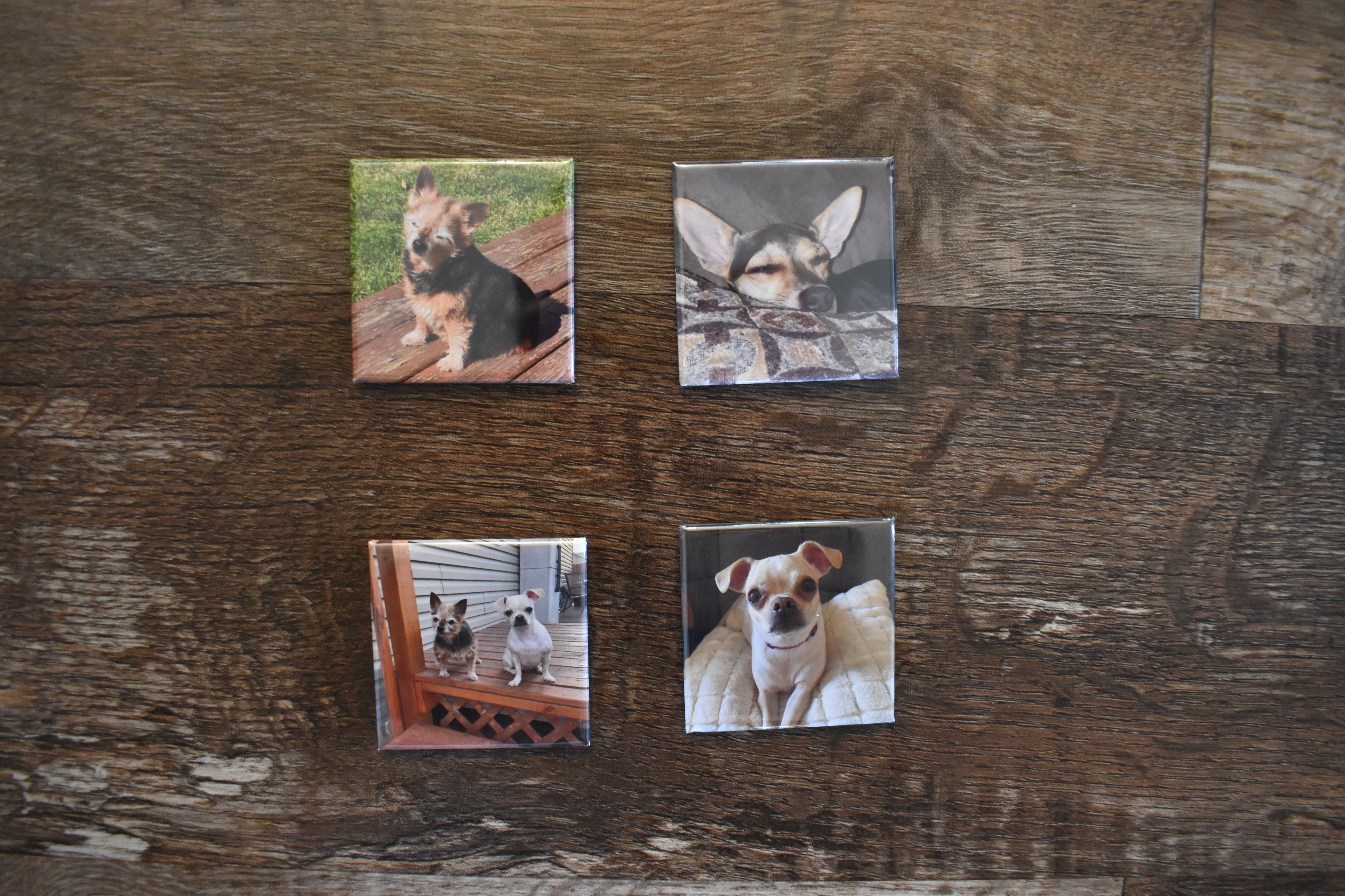 2x2 Square Custom Made Photo Magnet-Set of 4